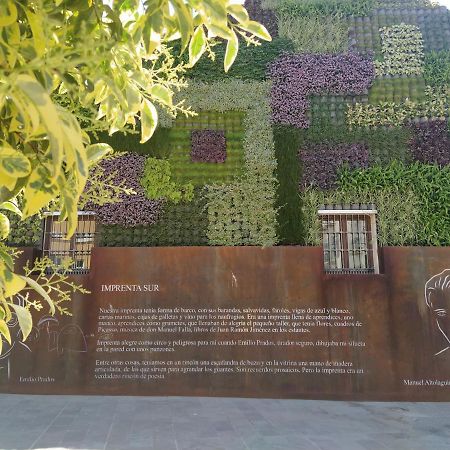 Acogedor y moderno estudio en Capuchinos Málaga Exterior foto